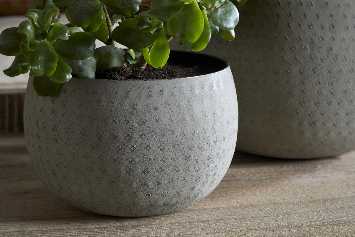 Laoko Planter - Olive Grey - Image 3