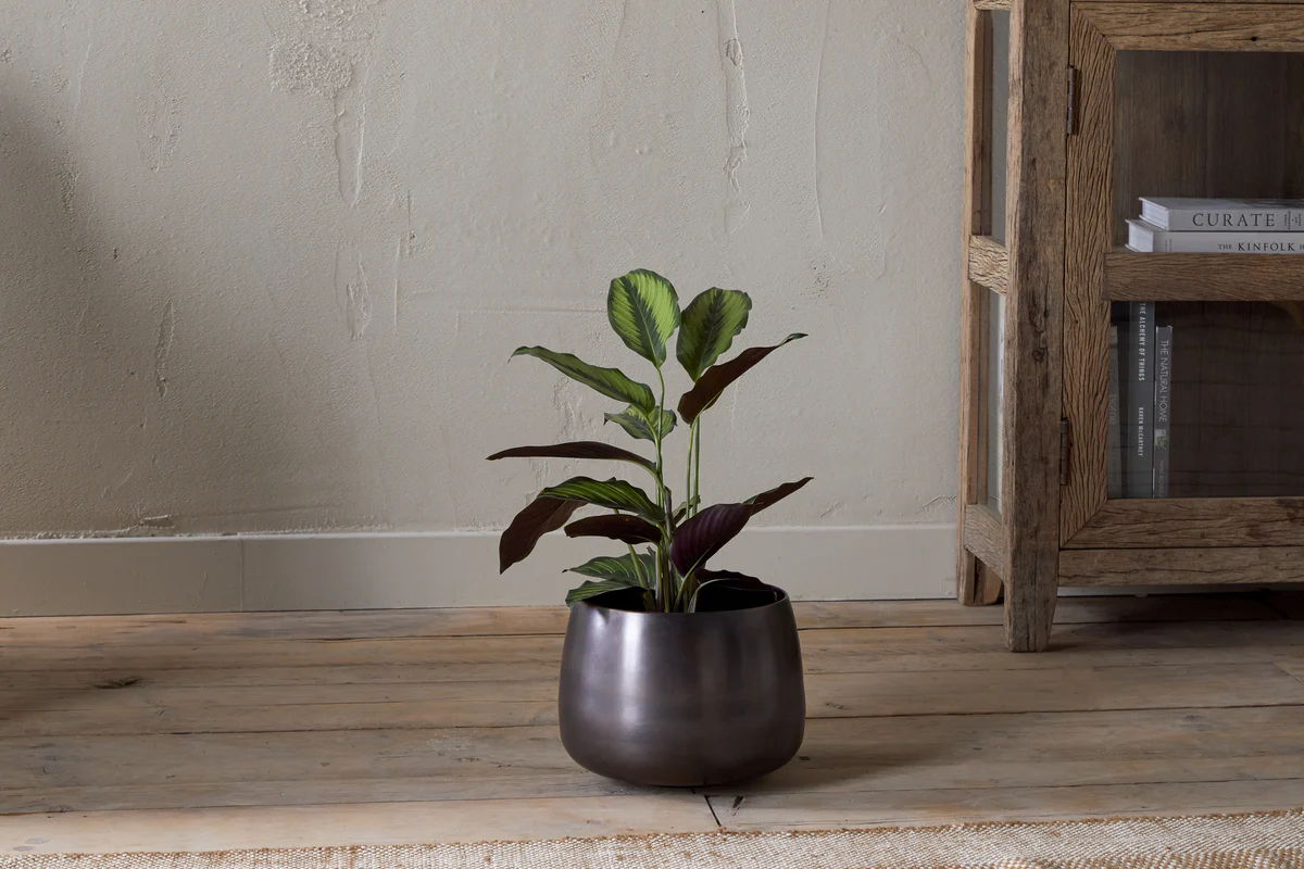 Maliki Plant Pot - Aged Bronze - Image 3