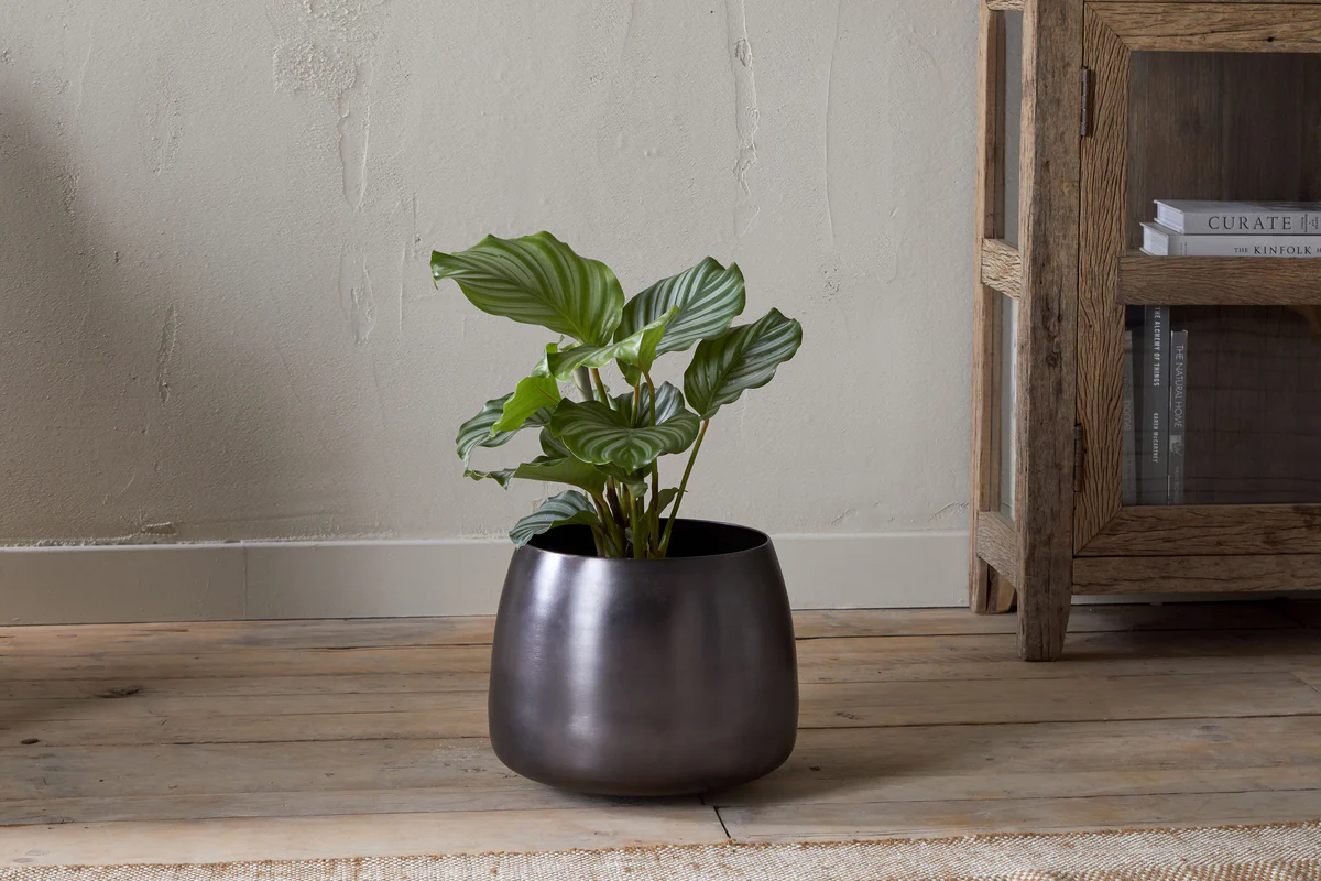 Maliki Plant Pot - Aged Bronze - Image 4