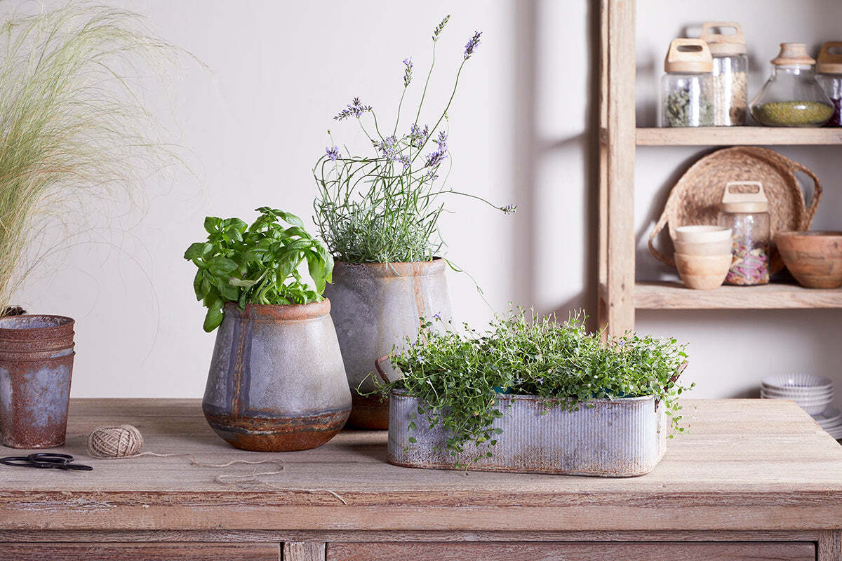 Mamba Outdoor Planter - Aged Zinc - Image 5